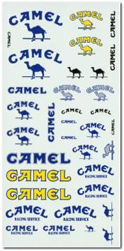 Camel 1/24